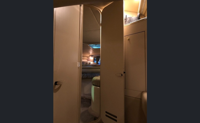 Sea Ray 310 Sundancer-kuva-2